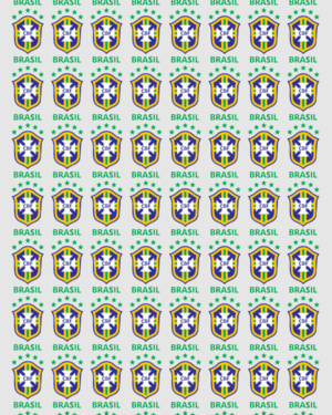Filme DTF Têxtil Impresso 57x100cm